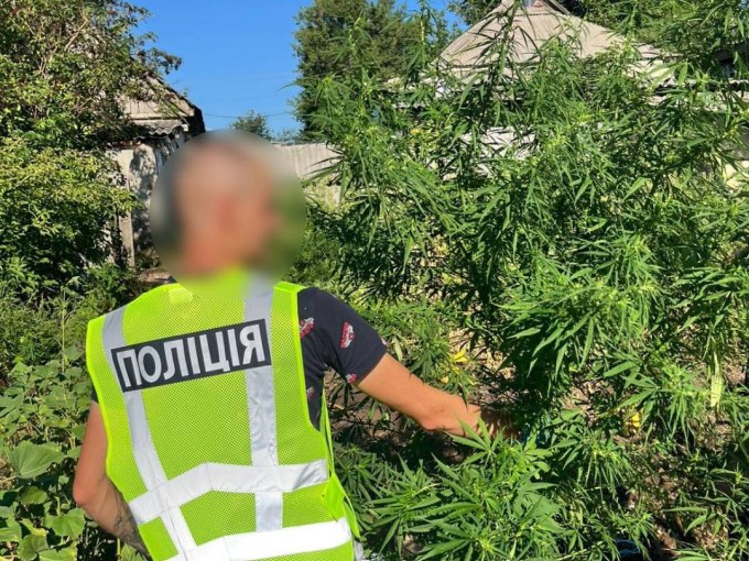 Новини Харкова: в межах операції «Канабіс» вилучили наркотиків на 7 мільйонів гривень